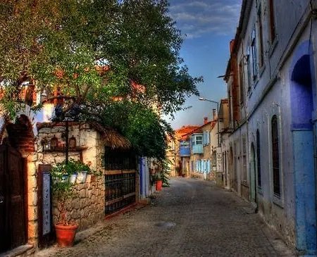 330 Boutique (adults Only) 住宿加早餐酒店 阿拉恰特